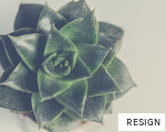 RESIGN anagram