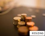 RESIZING anagram