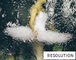 RESOLUTION anagram