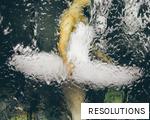 RESOLUTIONS anagram