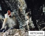 RETCHING anagram