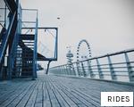 RIDES anagram