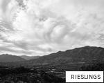RIESLINGS anagram