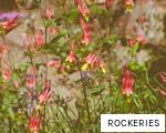 ROCKERIES anagram