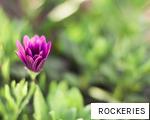 ROCKERIES anagram