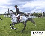 RODEOS anagram