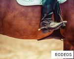 RODEOS anagram