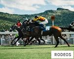 RODEOS anagram
