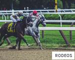 RODEOS anagram