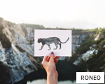 RONEO anagram