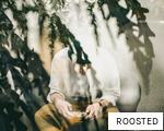 ROOSTED anagram