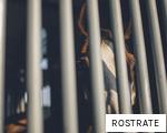 ROSTRATE anagram