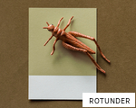 ROTUNDER anagram