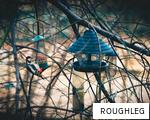 ROUGHLEG anagram
