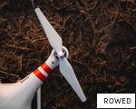 ROWED anagram