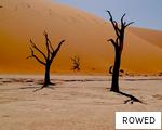 ROWED anagram