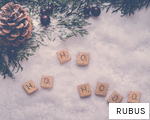 RUBUS anagram