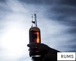 RUMS anagram