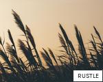 RUSTLE anagram