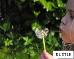RUSTLE anagram