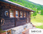 SABICUS anagram