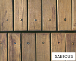 SABICUS anagram