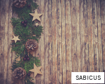 SABICUS anagram