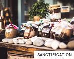 SANCTIFICATION anagram