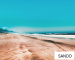 SANDD anagram