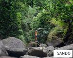 SANDO anagram