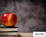 SAVIOR anagram