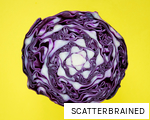SCATTERBRAINED anagram