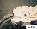SCIENC anagram