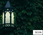 SCON anagram