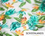 SCREENLANDS anagram