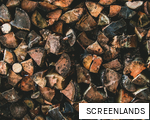 SCREENLANDS anagram