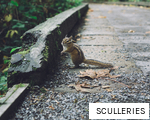 SCULLERIES anagram