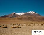 SECKEL anagram