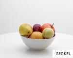 SECKEL anagram