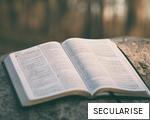 SECULARISE anagram