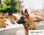 SECURITY anagram