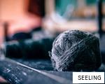 SEELING anagram
