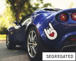 SEGREGATED anagram