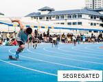 SEGREGATED anagram