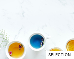 SELECTION anagram