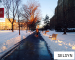 SELSYN anagram