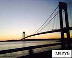 SELSYN anagram