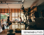 SEPARABILITIES anagram