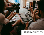 SEPARABILITIES anagram