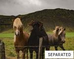 SEPARATED anagram